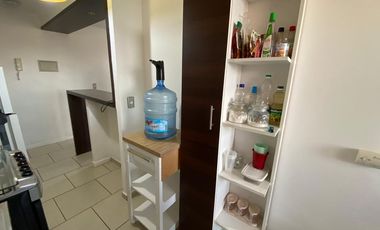 Vida costera ideal en Arica