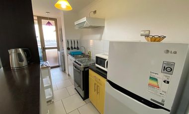 Vida costera ideal en Arica