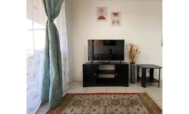 Vida costera ideal en Arica