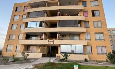 Vida costera ideal en Arica