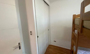 Vida costera ideal en Arica