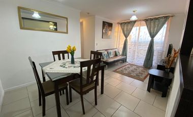 Vida costera ideal en Arica