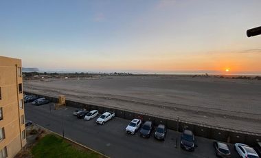 Vida costera ideal en Arica