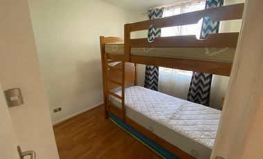 Vida costera ideal en Arica