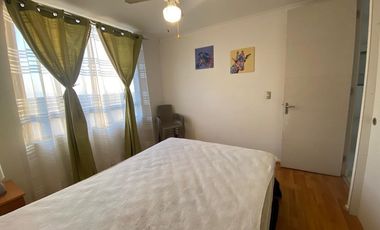 Vida costera ideal en Arica