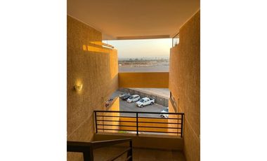 Vida costera ideal en Arica