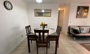 Vida costera ideal en Arica