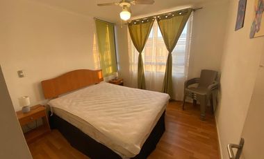 Vida costera ideal en Arica