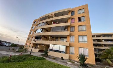 Vida costera ideal en Arica