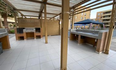 Vida costera ideal en Arica