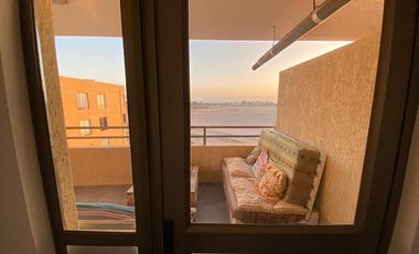 Vida costera ideal en Arica