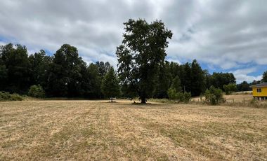 Venta de parcela 8.600 mts2 a 10 km de Villarrica