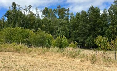 Venta de parcela 8.600 mts2 a 10 km de Villarrica