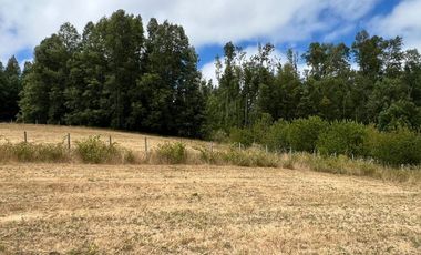 Venta de parcela 8.600 mts2 a 10 km de Villarrica