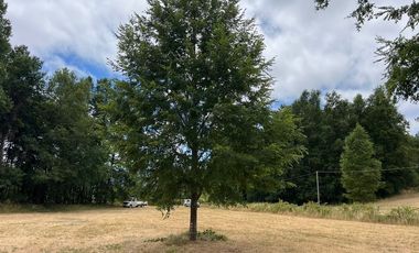 Venta de parcela 8.600 mts2 a 10 km de Villarrica