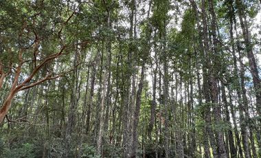 Venta de parcela 8.600 mts2 a 10 km de Villarrica