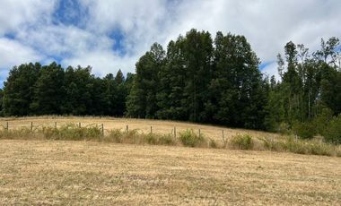 Venta de parcela 8.600 mts2 a 10 km de Villarrica