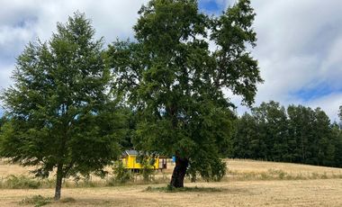 Venta de parcela 8.600 mts2 a 10 km de Villarrica