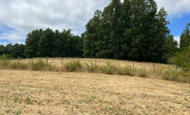 Venta de parcela 8.600 mts2 a 10 km de Villarrica