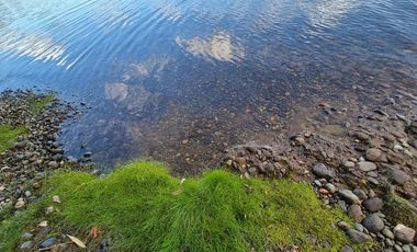 TERRENO 1 ha. ORILLA DE LAGO NATRI-CHILOE