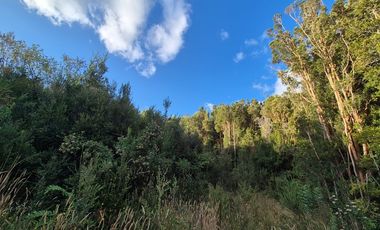 TERRENO 1 ha. ORILLA DE LAGO NATRI-CHILOE