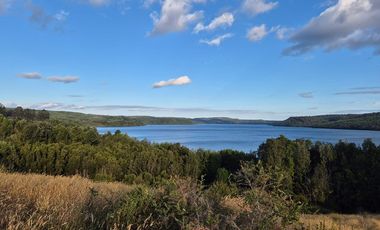 TERRENO 1 ha. ORILLA DE LAGO NATRI-CHILOE