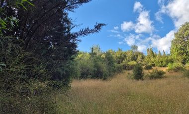 TERRENO 1 ha. ORILLA DE LAGO NATRI-CHILOE
