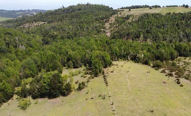 Parcelas Estaquilla Puerto Varas