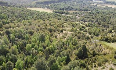 Parcelas Estaquilla Puerto Varas