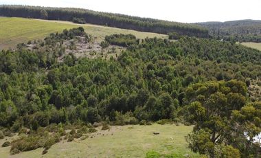 Parcelas Estaquilla Puerto Varas