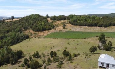 Parcelas Estaquilla Puerto Varas