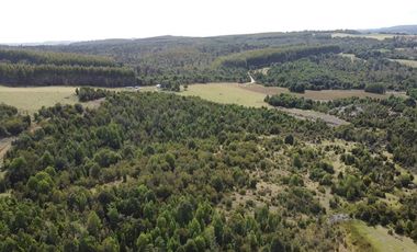 Parcelas Estaquilla Puerto Varas