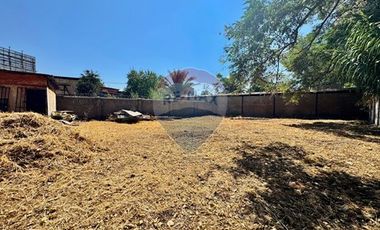 Terreno en arriendo de 700 m2, San Bernador