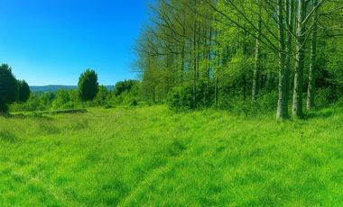 Venta Parcela  Vista Lago y Volcan, Pucon