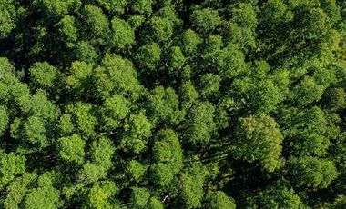 Venta Parcela  Vista Lago y Volcan, Pucon
