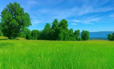 Venta Parcela  Vista Lago y Volcan, Pucon