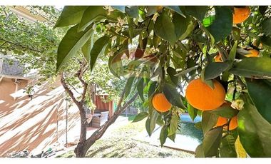 Alto Macul - Camino Las Carmelitas - 4D/3B/4E