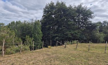 TERRENO 10 ha SECTOR PIRUQUINA-CHILOE