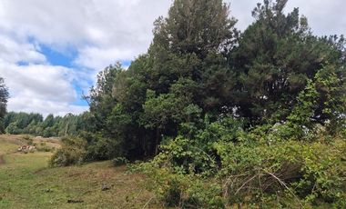 TERRENO 10 ha SECTOR PIRUQUINA-CHILOE