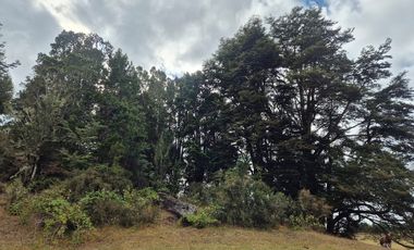 TERRENO 10 ha SECTOR PIRUQUINA-CHILOE