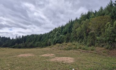 TERRENO 10 ha SECTOR PIRUQUINA-CHILOE