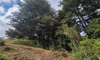 TERRENO 10 ha SECTOR PIRUQUINA-CHILOE