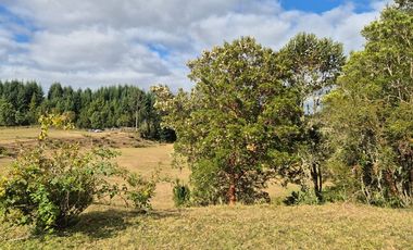 TERRENO 10 ha SECTOR PIRUQUINA-CHILOE