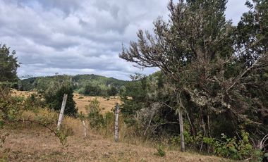 TERRENO 10 ha SECTOR PIRUQUINA-CHILOE