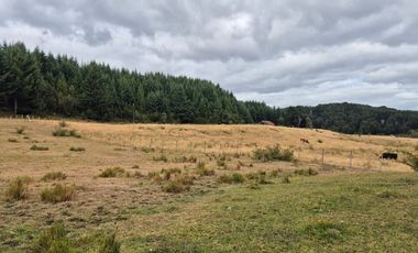 TERRENO 10 ha SECTOR PIRUQUINA-CHILOE