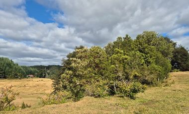 TERRENO 10 ha SECTOR PIRUQUINA-CHILOE