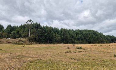 TERRENO 10 ha SECTOR PIRUQUINA-CHILOE