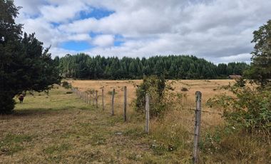 TERRENO 10 ha SECTOR PIRUQUINA-CHILOE