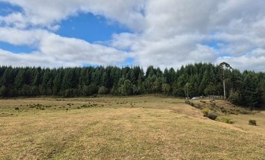 TERRENO 10 ha SECTOR PIRUQUINA-CHILOE