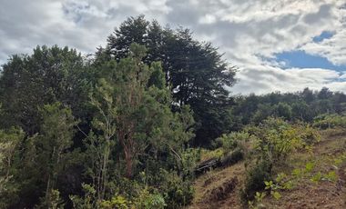TERRENO 10 ha SECTOR PIRUQUINA-CHILOE